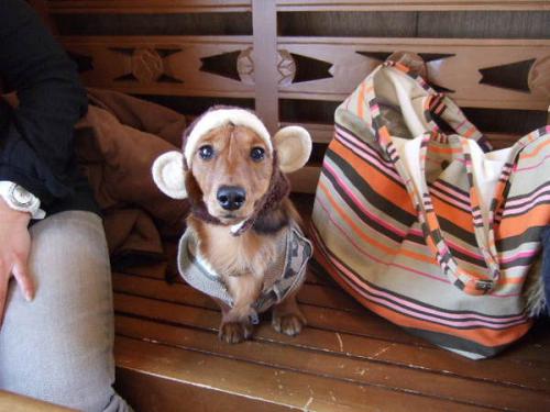363-thumbnail2s_20130629234245.jpg