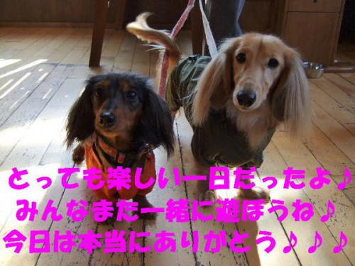 381-thumbnail2s_20130629235329.jpg