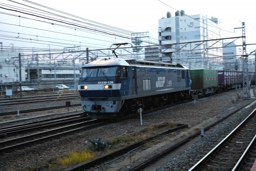 bSDIM0330-7.jpg