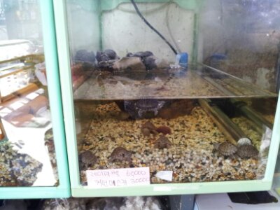 2013112719552841f.jpg