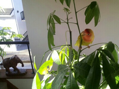 20131201181721ace.jpg