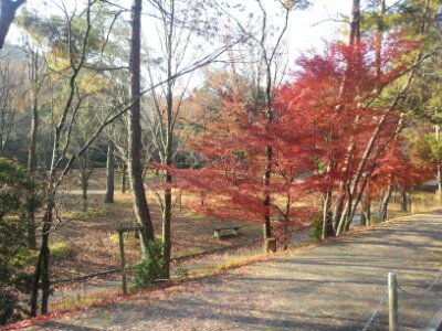 20131203220146138.jpg