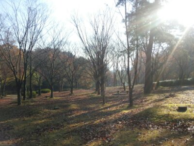 20131203220148d90.jpg