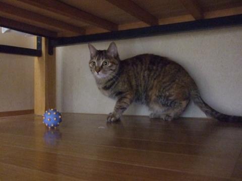 ユウナ5