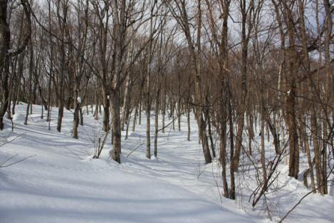 IMG_8098_R.jpg