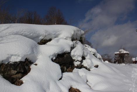 IMG_8118_R.jpg