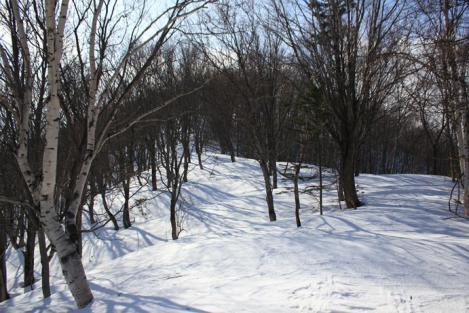 IMG_8127_R.jpg
