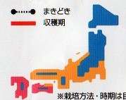 気候分類地図