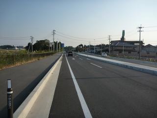 11100939.jpg