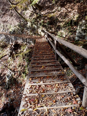 落ち葉の橋