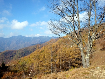 いい景色!
