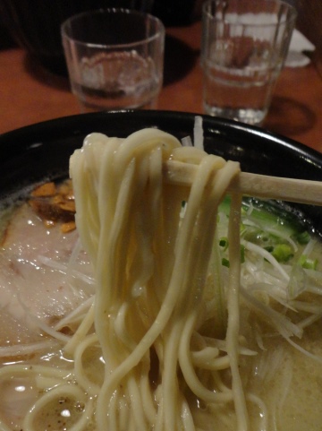 DSC01380.jpg