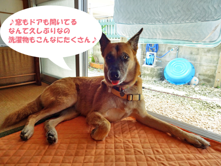 1_20140916150516b61.jpg