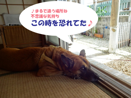 3_20140916150519e31.jpg