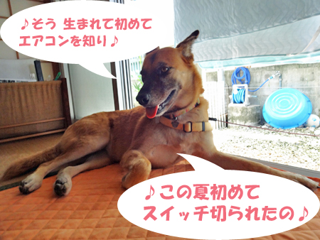 4_2014091615052026b.jpg