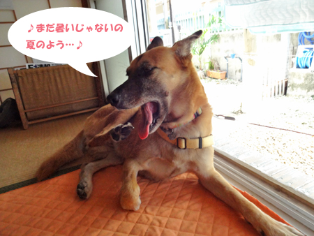 6_20140916150539e74.jpg