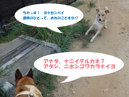 8_20140916150542fef.jpg