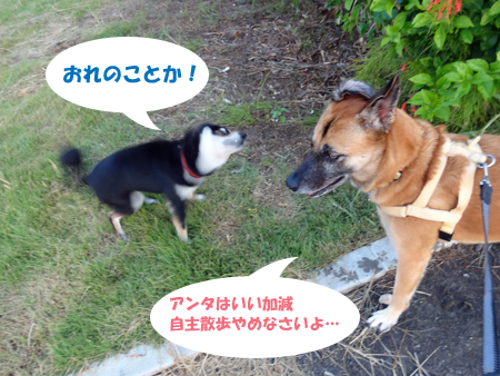 9_20140916150544a25.jpg