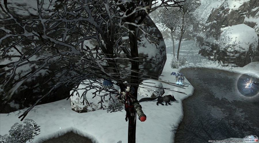 雪の枝01