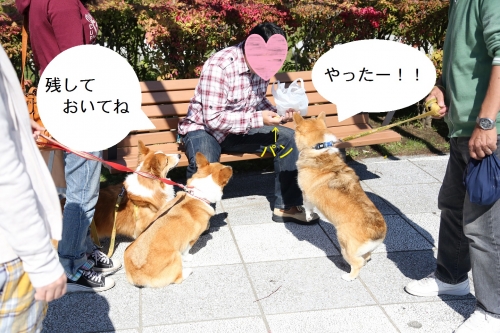 0L1A2313.jpg