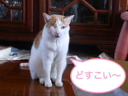 イイチャン