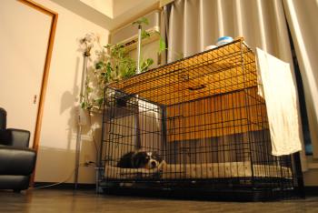 DSC_0363_convert_20120504214116.jpg
