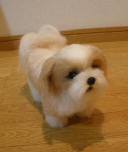 シーズー・ビス君4