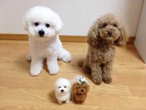 ポテトちゃん,モコくん本物さんと。