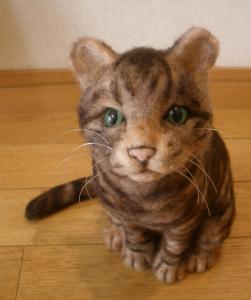 猫・カトル君4