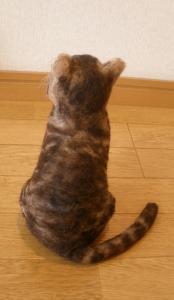 猫・カトル君3