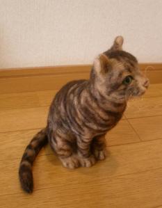 猫・カトル君2