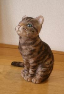 猫・カトル君7