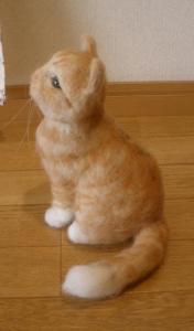 猫・ごろーちゃん2