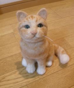 猫・ごろーちゃん9