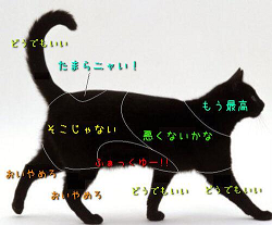 BPnG6LFCUAErzwy.png