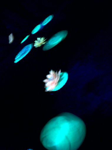00948.jpg