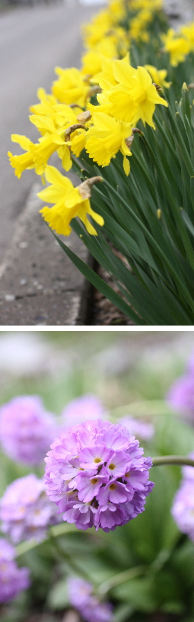 image322.jpg