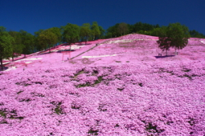 image438.jpg