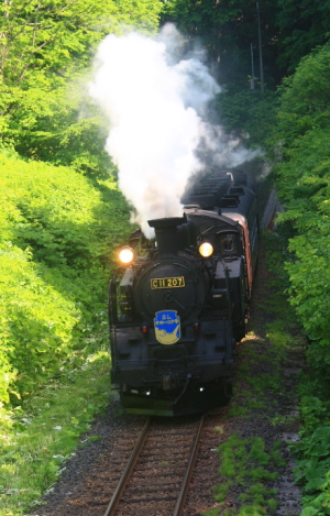 image443.jpg