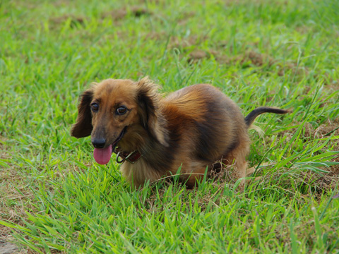 20110921004.jpg
