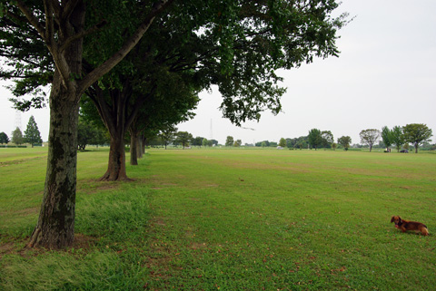 20110921005.jpg