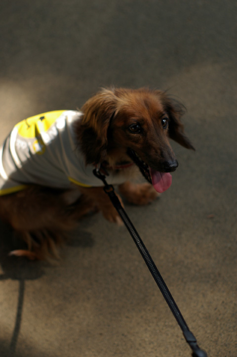 20111011003.jpg