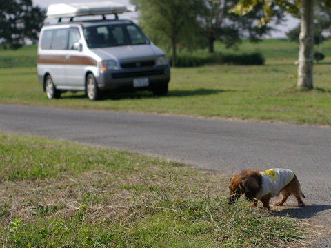 20111011005.jpg