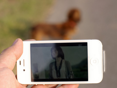 20111018008.jpg