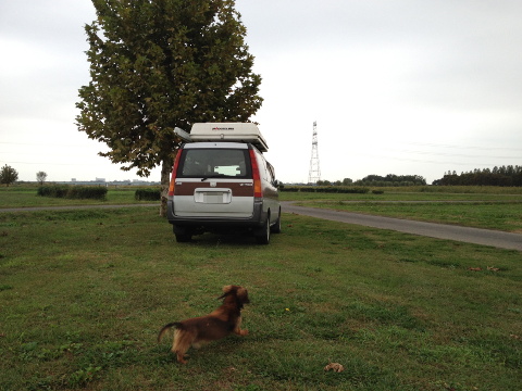 20111025005.jpg