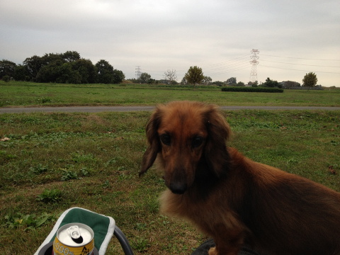 20111025006.jpg