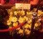 20120215_6.jpg