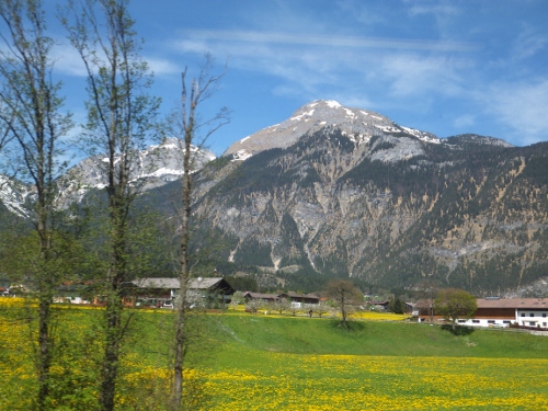 DSCF4845 (500x375)