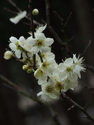 h243746.jpg