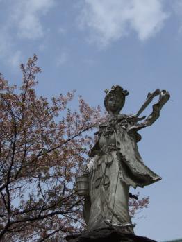 h2441625.jpg
